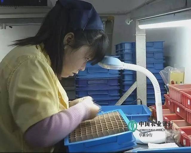阜新縣最新職位招聘,阜新縣最新職位招聘，一場(chǎng)工作與生活交織的溫馨故事