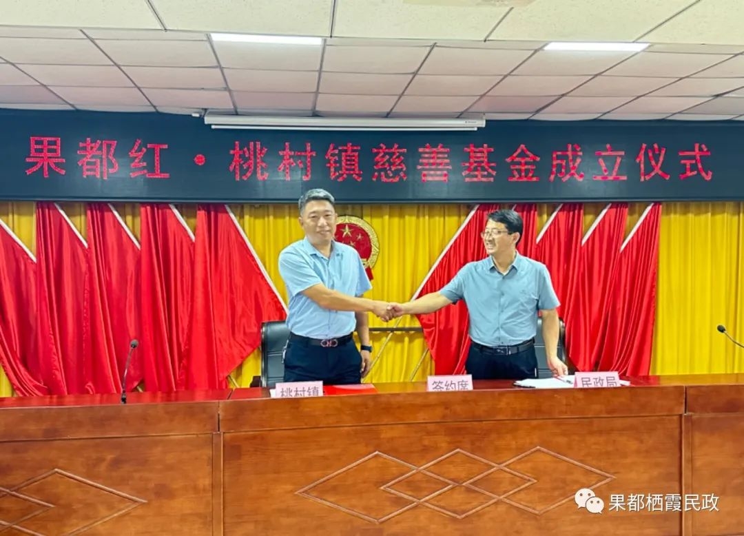 桃村最新動(dòng)態(tài)，時(shí)代變遷下的鄉(xiāng)村印記